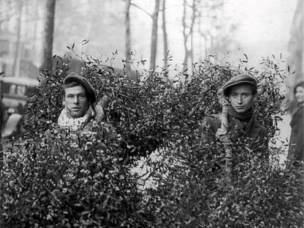 Mistleton, Table of&nbsp;Contents