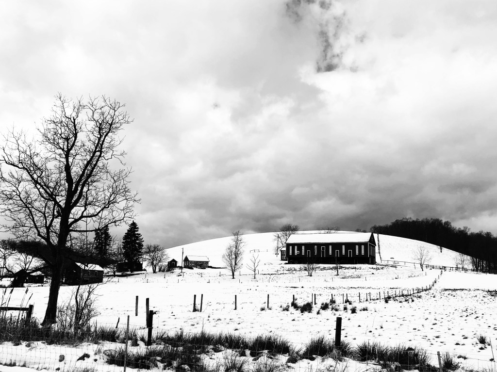 Mistleton, Chapter 13